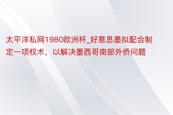 太平洋私网1980欧洲杯_好意思墨拟配合制定一项权术，以解决墨西哥南部外侨问题