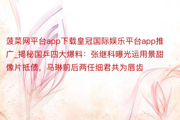 菠菜网平台app下载皇冠国际娱乐平台app推广_揭秘国乒四大爆料：张继科曝光运用景甜像片抵债，马琳前后两任细君共为唇齿